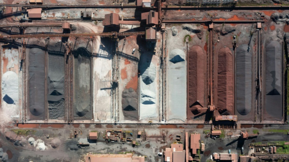 Am&eacute;rique latine: d&eacute;j&agrave; fragilis&eacute;e par la Chine, la sid&eacute;rurgie redoute l'effet des taxes Trump