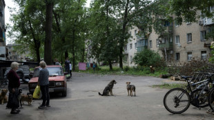 Situaci&oacute;n "tensa" en la ciudad ucraniana de Avdivka, que los rusos intentan rodear