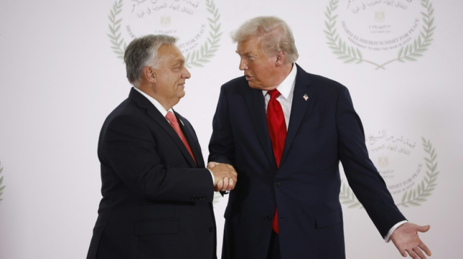 Trump empf&auml;ngt Ungarns Regierungschef Orban