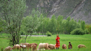 Regierung Scholz plant keine weiteren Afghanistan-Fl&uuml;ge vor Ende der Amtszeit