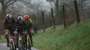 Vingegaard seizes control of Paris-Nice with stage 4 win