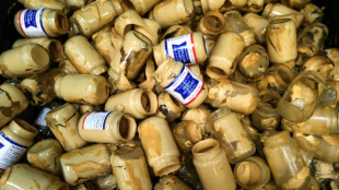 Moutarde de Dijon: la relocalisation comme rem&egrave;de &agrave; la p&eacute;nurie