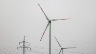 N&ouml;rdliche Bundesl&auml;nder fordern Ende einheitlicher Strompreise in Deutschland