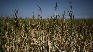 La France sous les ardeurs d'un nouvel &eacute;pisode caniculaire