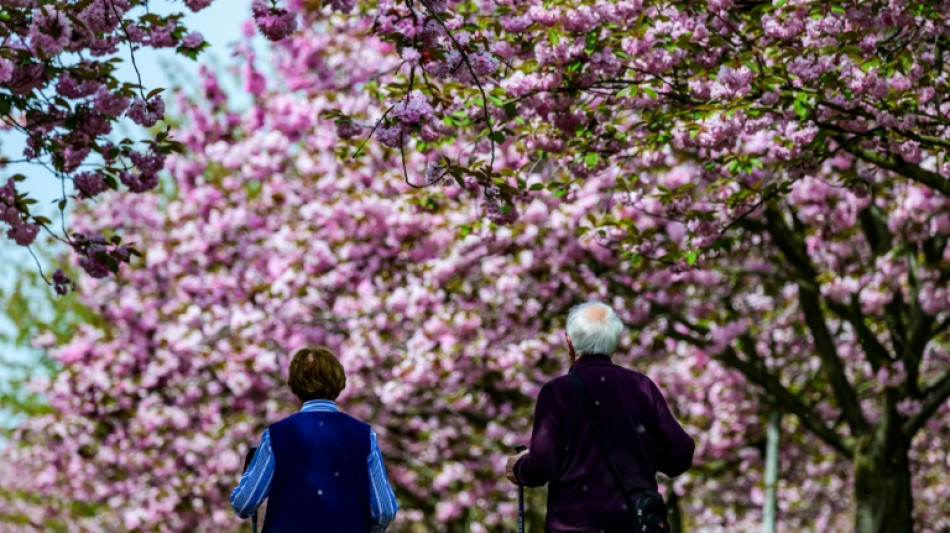 Kabinett beschlie&szlig;t Anstieg der Renten um 4,24 Prozent zum 1. Juli