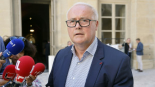 STMicroelectronics: le conseil de surveillance soutient le PDG reni&eacute; par Rome