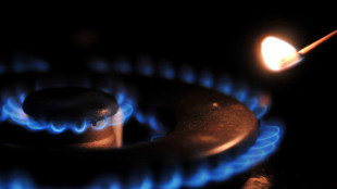 Gme, prezzo gas in Italia in ribasso a 33,70 euro al MWh