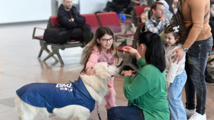 Peur de l'avion ? L'a&eacute;roport de Skopje a tout pr&eacute;vu ... m&ecirc;me un chien !