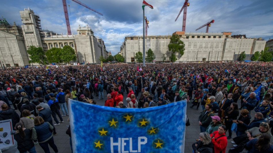 Hungarians protest 'authoritarian' bill against NGOs, media