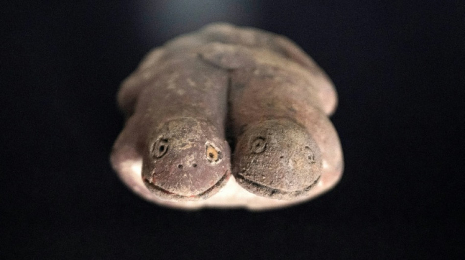 Pérou : découverte d'une rare sculpture de grenouilles vieille de 3.800 ans