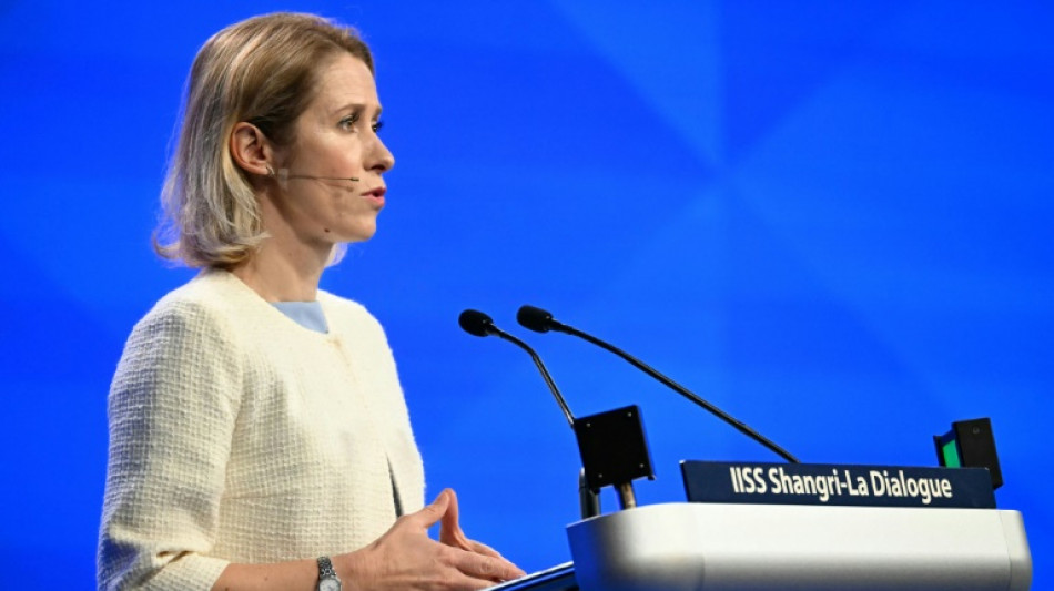 Trump 'tough love' on defence better than no love: EU's Kallas