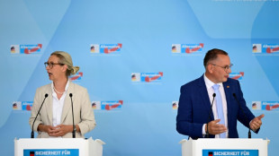 AfD wirft Merz auf Fraktionsklausur "Wahlbetrug" vor