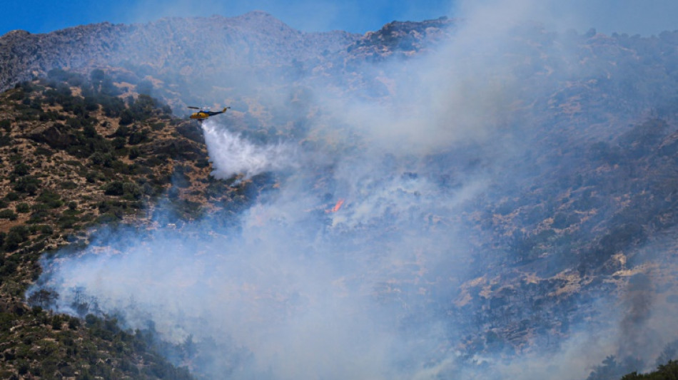 Gr&egrave;ce : nouvel incendie pr&egrave;s d'Ath&egrave;nes