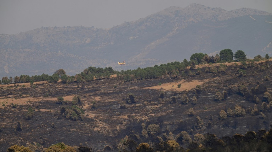 Mejora la situaci&oacute;n de los incendios en Espa&ntilde;a