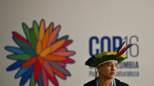 COP16: l'humanit&eacute; en "crise existentielle" d&eacute;truit la nature, alerte le chef de l'ONU