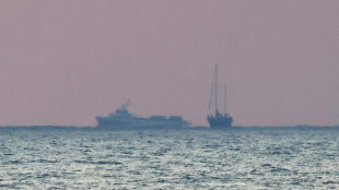 Italiano a bordo Freedom Flotilla, 'siamo in rotta per Gaza'