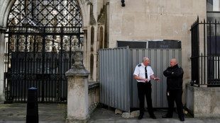 New Banksy artwork challenges UK's protest crackdown