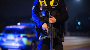 Weitere Erkenntnisse zu vereiteltem mutma&szlig;lich islamistischen Anschlag