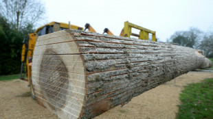 Dans l'Ouest, du bois en circuit court gr&acirc;ce &agrave; une scierie mobile