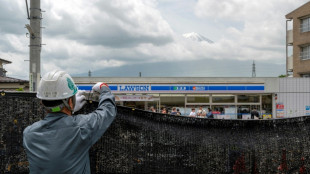 Agujerean la barrera colocada para bloquear una tur&iacute;stica vista del monte Fuji en Jap&oacute;n