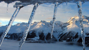 Trump, 'mio figlio Don in Groenlandia, l&igrave; sono Maga'