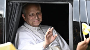 Scoperta una nuova falena dedicata a Papa Leone