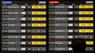 Japan Airlines afirma que restableci&oacute; sus sistemas tras sufrir un ataque cibern&eacute;tico