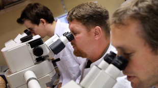 Scoperti 230 virus giganti cruciali per la vita negli oceani