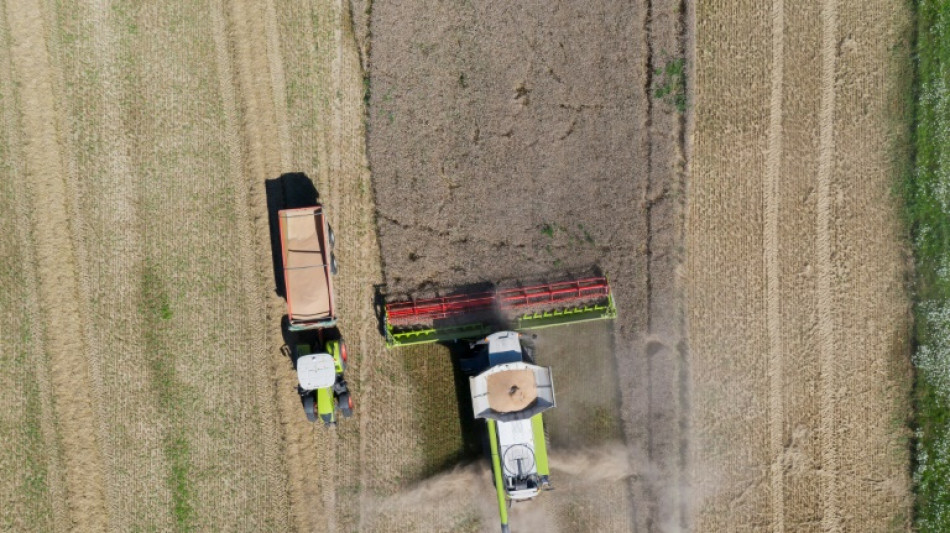 Comment le bl&eacute; fran&ccedil;ais a perdu le chemin de l'Alg&eacute;rie
