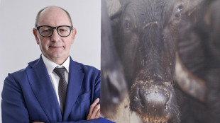 Nomisma-Arcadia, Bufala Dop percepita come 'cibo romantico'