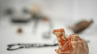 Meurtrie, Gaza expose son &acirc;me &agrave; Gen&egrave;ve