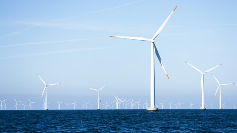 Danish firm Orsted halts huge UK offshore wind farm project