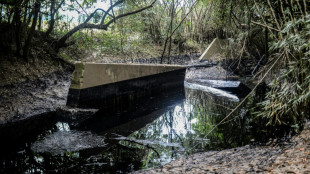 Controlan un derrame de hidrocarburos provocado por las lluvias en M&eacute;xico