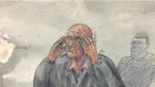 Proc&egrave;s Le Scouarnec: le maximum de 20 ans de r&eacute;clusion requis, avec r&eacute;tention de s&ucirc;ret&eacute;