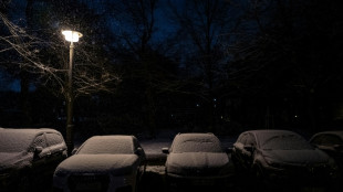 Bericht: Deutlich mehr Diebst&auml;hle von Katalysatoren in Deutschland