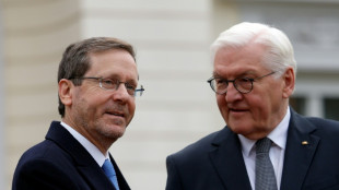 Deutschland und Israel feiern 60 Jahre Beziehungen - Pr&auml;sidenten in Berlin