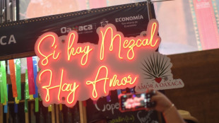 El mezcal mexicano batalla para no ser v&iacute;ctima de su &eacute;xito