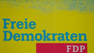 FDP-Fraktion ber&auml;t in Hamburg &uuml;ber Haushalt und Wirtschaftspolitik