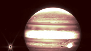 El oc&eacute;ano bajo la corteza helada explicar&iacute;a el origen del CO2 en la luna de J&uacute;piter