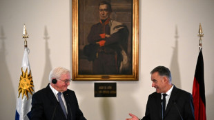 Presidente alem&aacute;n destaca lazo Europa-Sudam&eacute;rica "en tiempos de agitaci&oacute;n mundial"