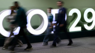 Pa&iacute;ses ricos ofrecen USD 250.000 millones anuales en COP29, insuficientes para naciones en desarrollo
