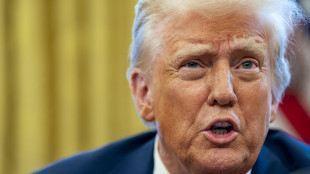 Trump, 'imporrò sicuramente i dazi all'Ue'