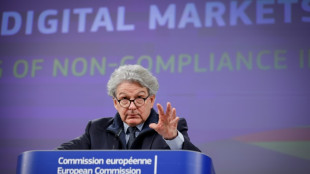 La UE anuncia una investigaci&oacute;n a Apple, Google y Meta por las normas de competencia