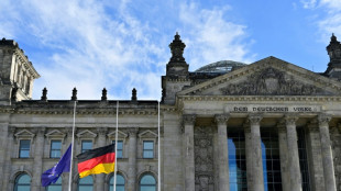 Ampel-Fraktionsvorsitzende alarmiert &uuml;ber Umsturzpl&auml;ne