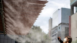 Jap&oacute;n, afectado por temperaturas r&eacute;cord, teme una escasez de electricidad