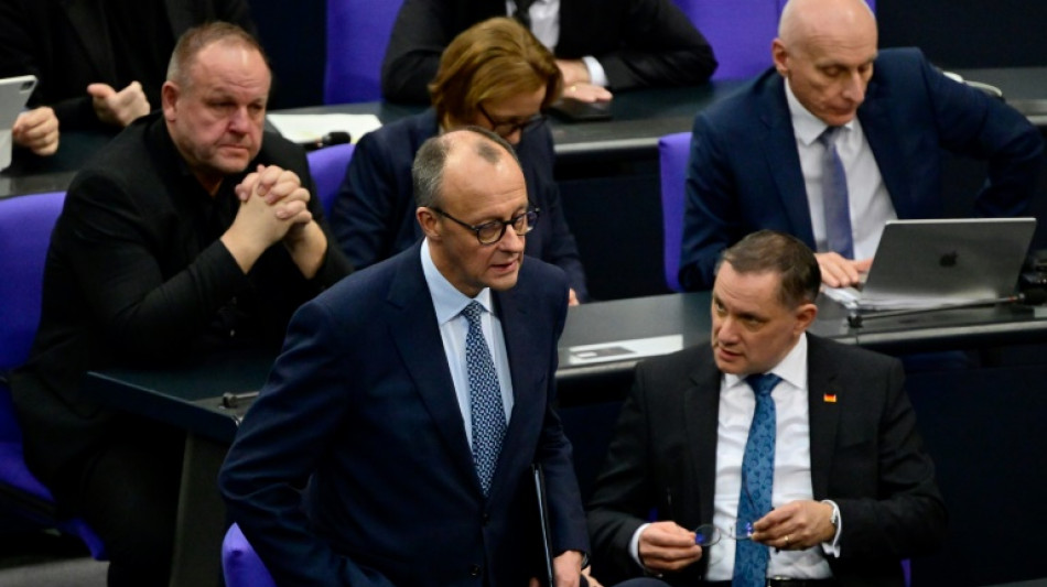Von AfD unterst&uuml;tzter Unionsantrag zu Migration im Bundestag angenommen 