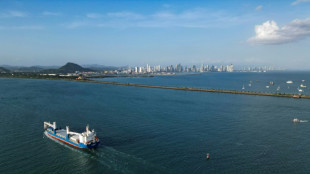 Gobierno de EEUU asegura que sus buques no pagar&aacute;n por cruzar el canal de Panam&aacute;