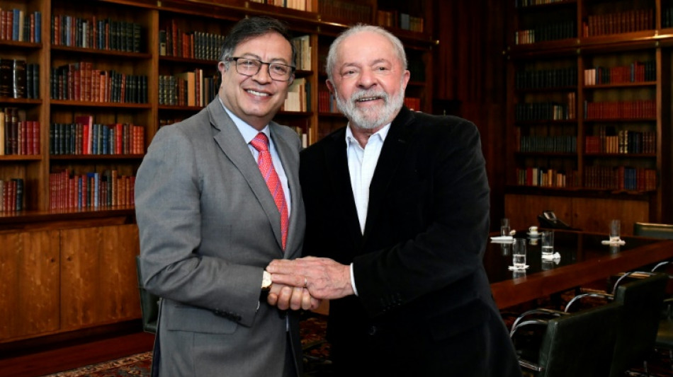 Lula e Petro concordam em fortalecer o combate aos crimes ambientais na Amaz&ocirc;nia