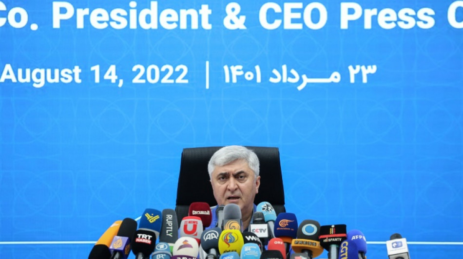 Irans gr&ouml;&szlig;ter Autobauer will sich auf russischen Markt konzentrieren