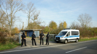 Una c&eacute;lula paramilitar de extrema derecha desmantelada en Alemania